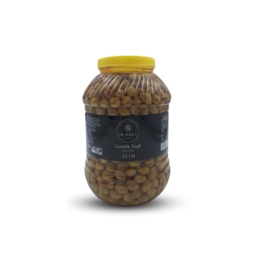 El Yapımı Gemlik Yeşil Zeytin - 3,5Kg